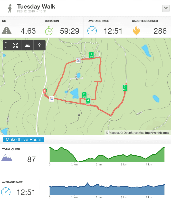 12-Feb-19 pm Details