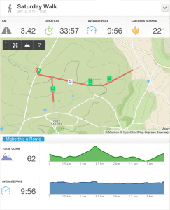 12-Jan-19 pm Details