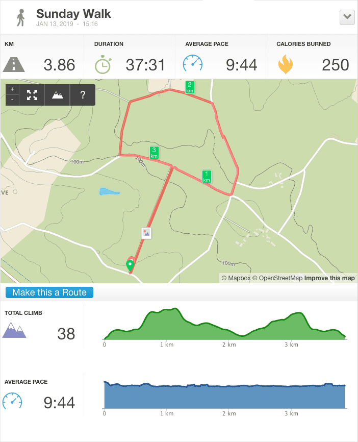 13-Jan-19 pm Details