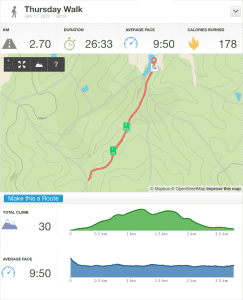 17-Jan-19 pm Details