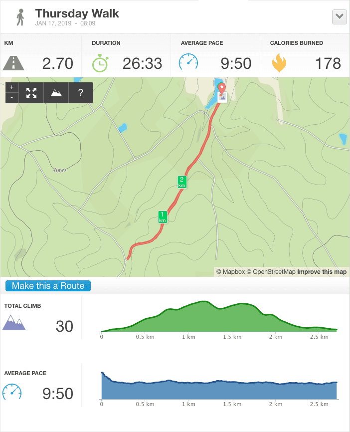 17-Jan-19 pm Details