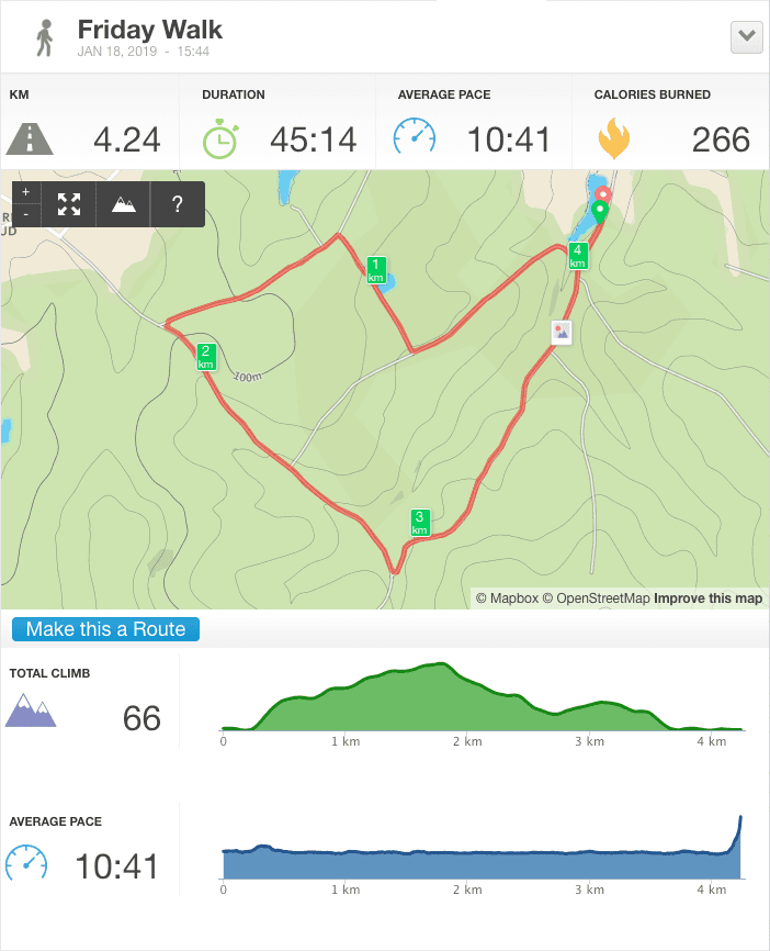 18-Jan-19 pm Details