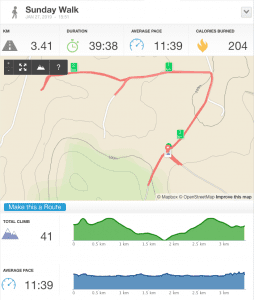 27-Jan-19 pm Details