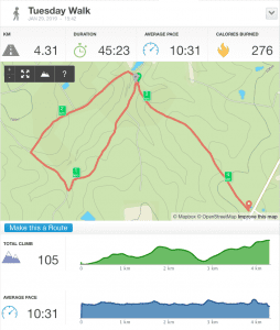 29-Jan-19 pm Details