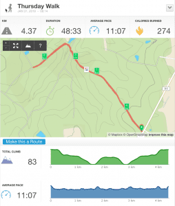 31-Jan-19 am Details