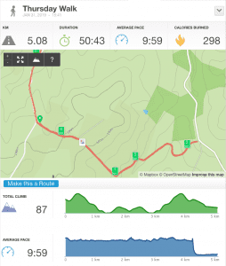 31-Jan-19 pm Details