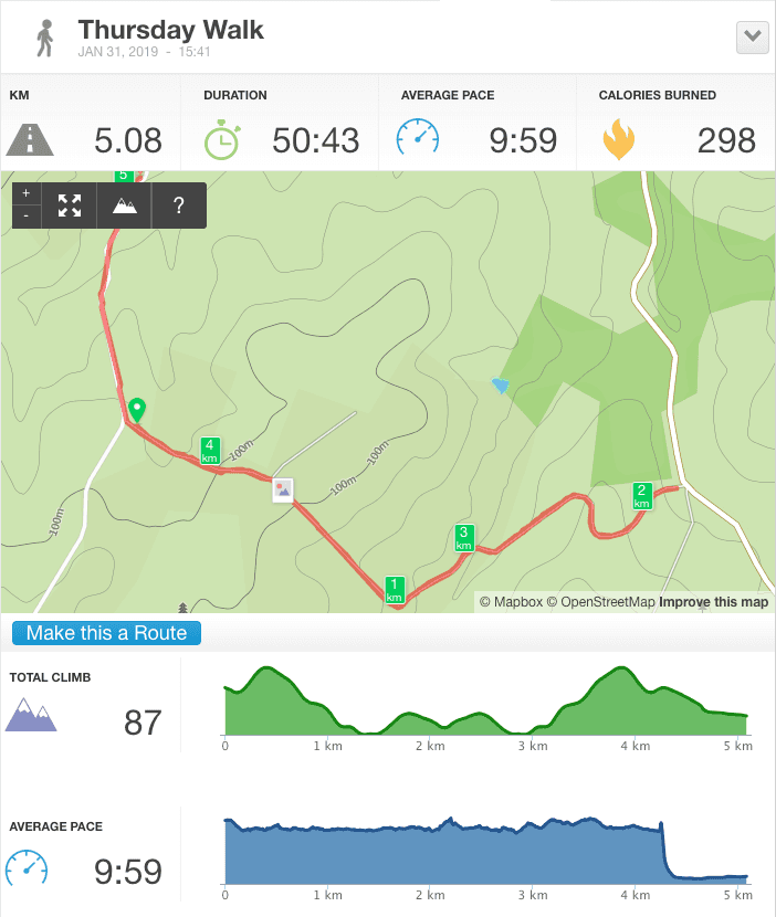 31-Jan-19 pm Details